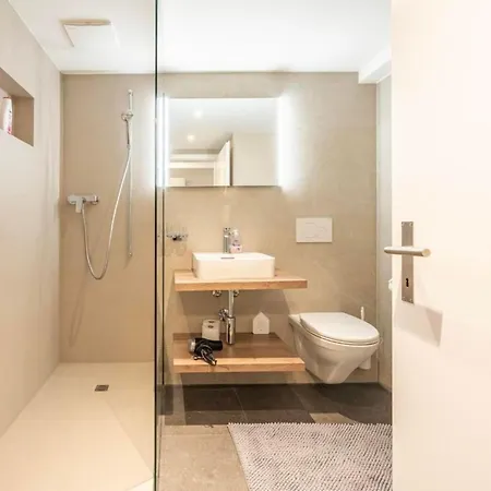 Lägenhet Loft Hoehematte By Interhome Interlaken