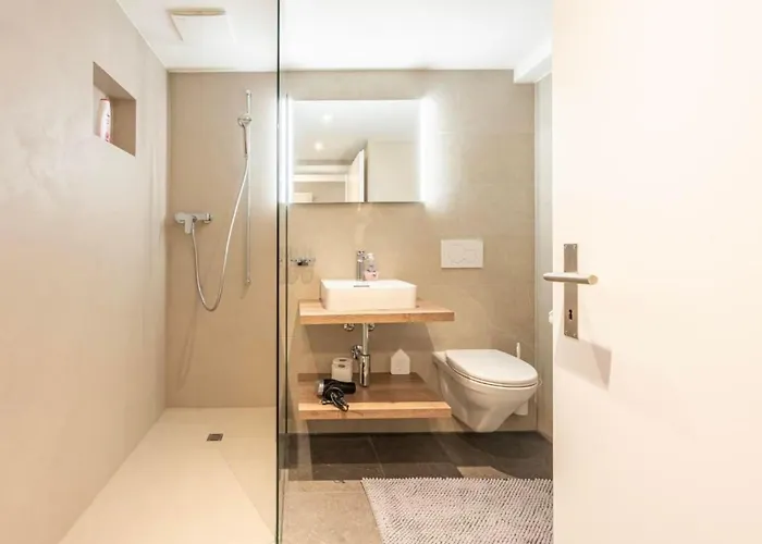 Lägenhet Loft Hoehematte By Interhome Interlaken